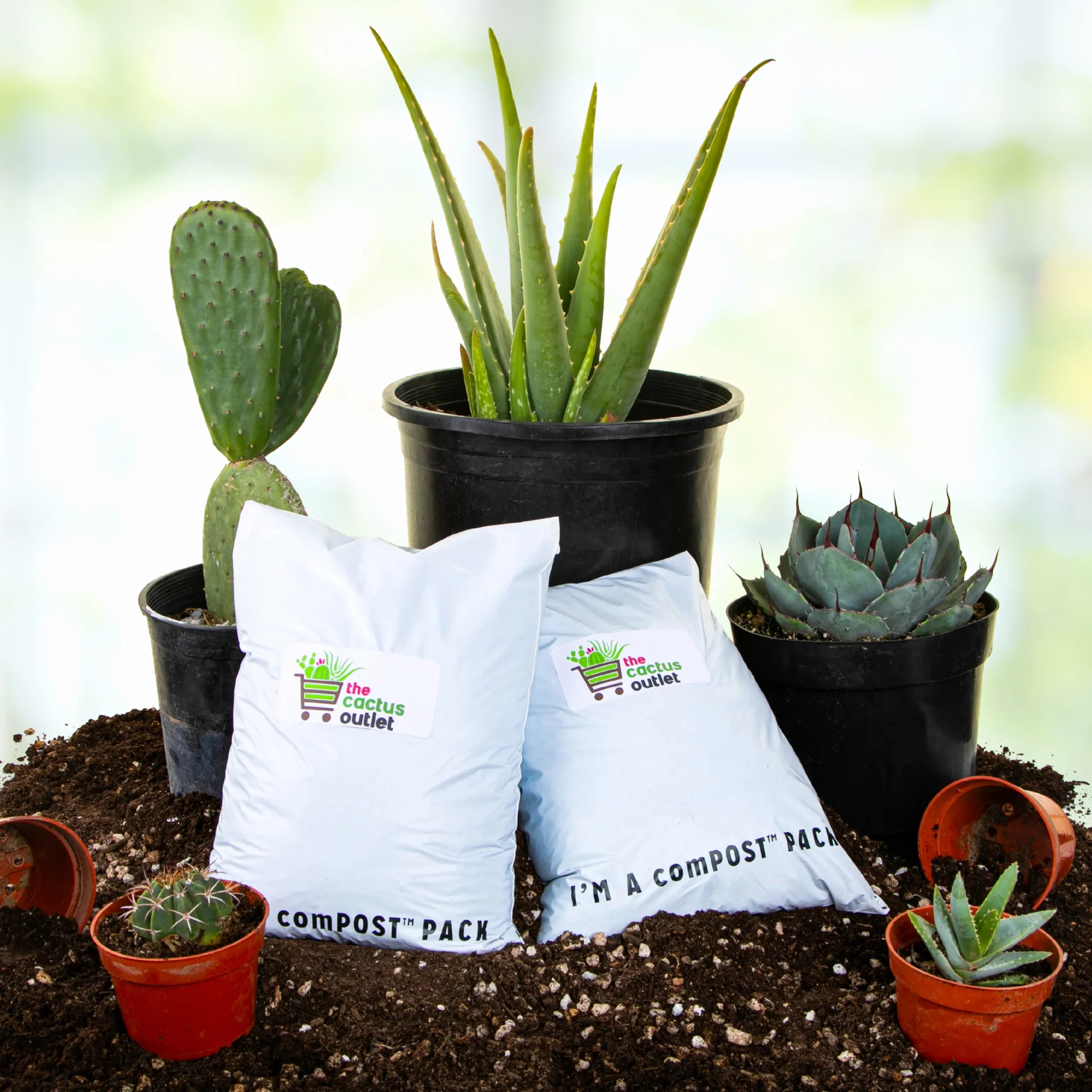 Cactus and Succulent Growers Soil