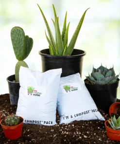 Cactus and Succulent Growers Soil