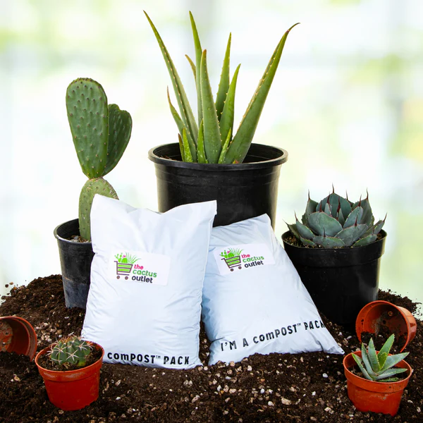 Cactus and Succulent Growers Soil