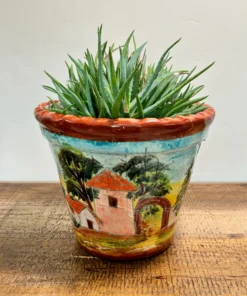 Casita Talavera Pot
