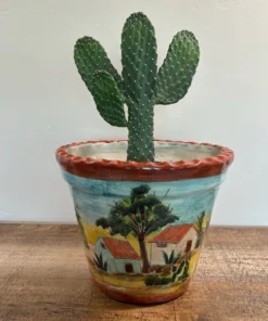 Casita Talavera Pot