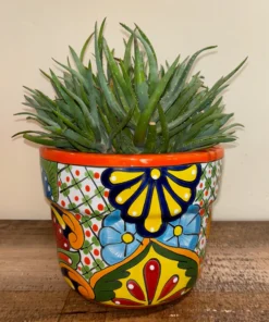 Mariposa Talavera Pot