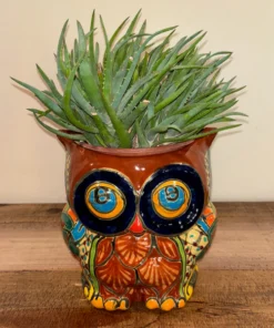 Owl Talavera Pot