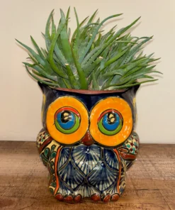 Owl Talavera Pot