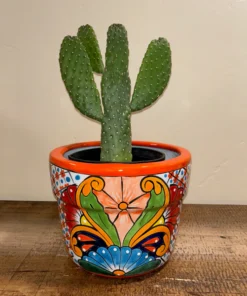 Mariposa Talavera Pot