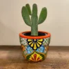 Mariposa Talavera Pot