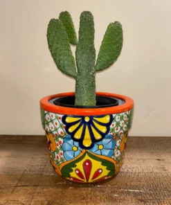 Mariposa Talavera Pot