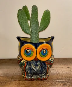Owl Talavera Pot