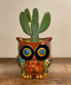 Owl Talavera Pot