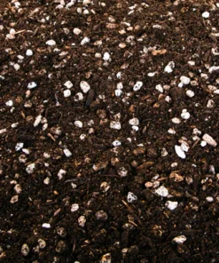 Cactus and Succulent Growers Soil