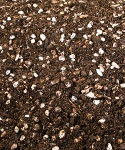 Cactus and Succulent Growers Soil